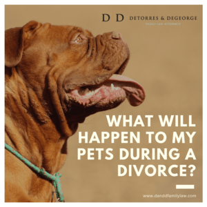 What Will Happen To My Pets During A Divorce?