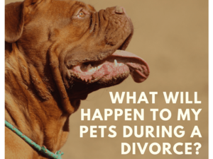 What Will Happen To My Pets During A Divorce?