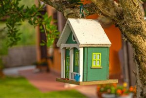 Bird house hanging from tree branch.